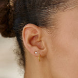 Zircon Stud Earrings